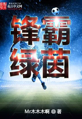 《锋霸绿茵》小说封面