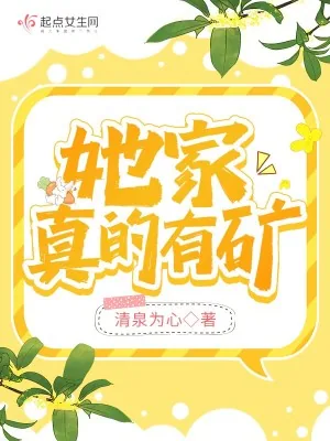 《她家真的有矿》小说封面