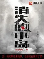 《消失的小岛》小说封面