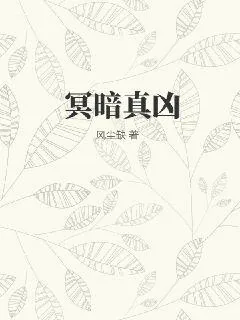 《冥暗真凶》小说封面