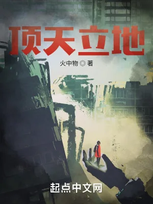《顶天立地》小说封面