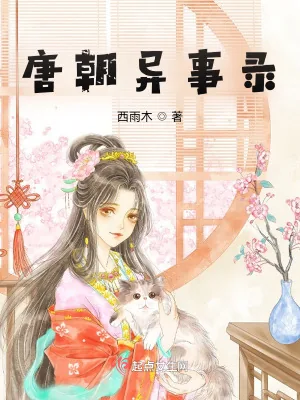 《唐朝异事录》小说封面