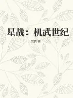 《星战：机武世纪》小说封面