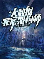 《大数据罪案架构师》小说封面