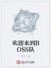《欢迎来到BOSS队》小说封面