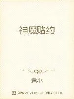 《神魔赌约》小说封面