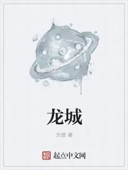 《龙城》小说封面