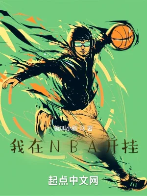 《我在NBA开挂》小说封面