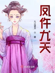 《凤仵九天》小说封面