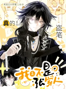 《盗笔：我真不是张家人，真的！》小说封面