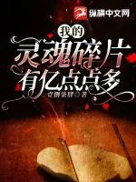 《我的灵魂碎片有亿点点多》小说封面
