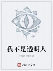 《我不是透明人》小说封面