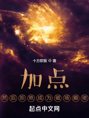 《加点，然后拒绝成为磁场癫佬》小说封面