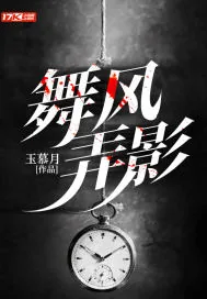 《舞风弄影》小说封面