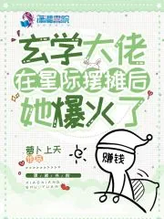 《玄学大佬在星际摆摊后，她爆火了》小说封面