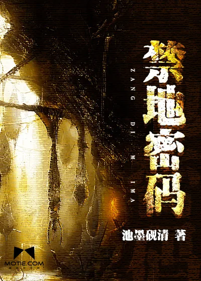 《禁地密码》小说封面