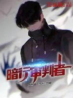 《暗行审判者》小说封面