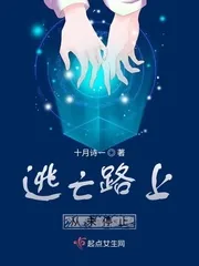 《逃亡路上从未停止》小说封面