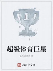 《超级体育巨星》小说封面
