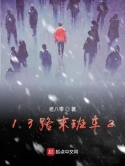 《13路末班车2》小说封面