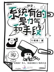 《快穿：系统有的是力气和手段》小说封面