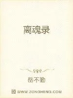 《离魂录》小说封面