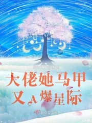 《大佬她马甲又A爆星际》小说封面