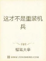 《这才不是重装机兵》小说封面