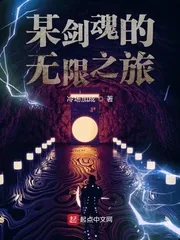 《某剑魂的无限之旅》小说封面