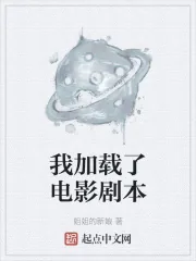 《我加载了电影剧本》小说封面