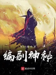 《编剧神秘》小说封面