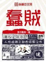《蠢贼》小说封面
