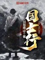 《国士行》小说封面
