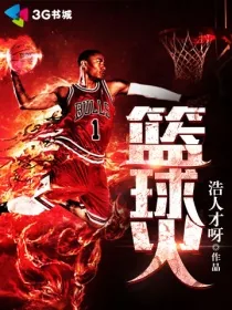 《篮球火》小说封面