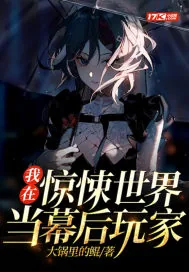 《我在惊悚世界当幕后玩家》小说封面