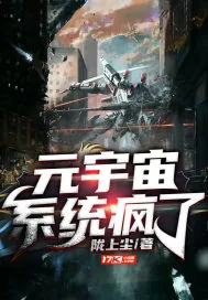《元宇宙：系统疯了》小说封面