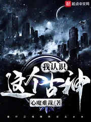 《这个古神我认识》小说封面