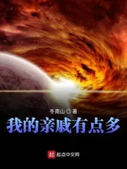 《我的亲戚有点多》小说封面