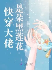 《快穿大佬是朵黑莲花》小说封面
