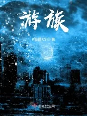《游族》小说封面