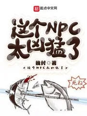 《这个NPC太凶猛了》小说封面