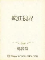 《疯狂视界》小说封面