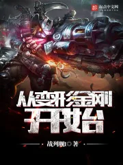 《从变形金刚开始》小说封面