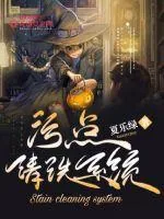 《污点清洗系统》小说封面