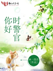 《你好，时警官》小说封面