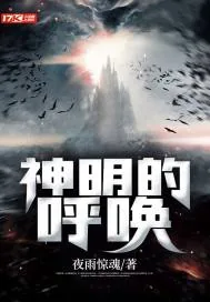 《神明的呼唤》小说封面