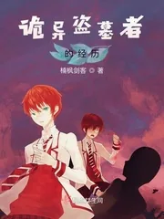 《诡异盗墓者的经历》小说封面