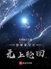 《吞噬星空之无上轮回》小说封面