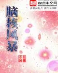 《脑核风暴》小说封面