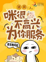 《诡异:人,咪很不高兴为你服务》小说封面